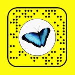 butterflies lens on snapchat